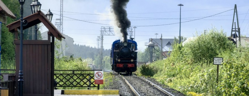 Ретропоезд "Ладожская Нерпочка" запустят 3 июня в городе Сортавала